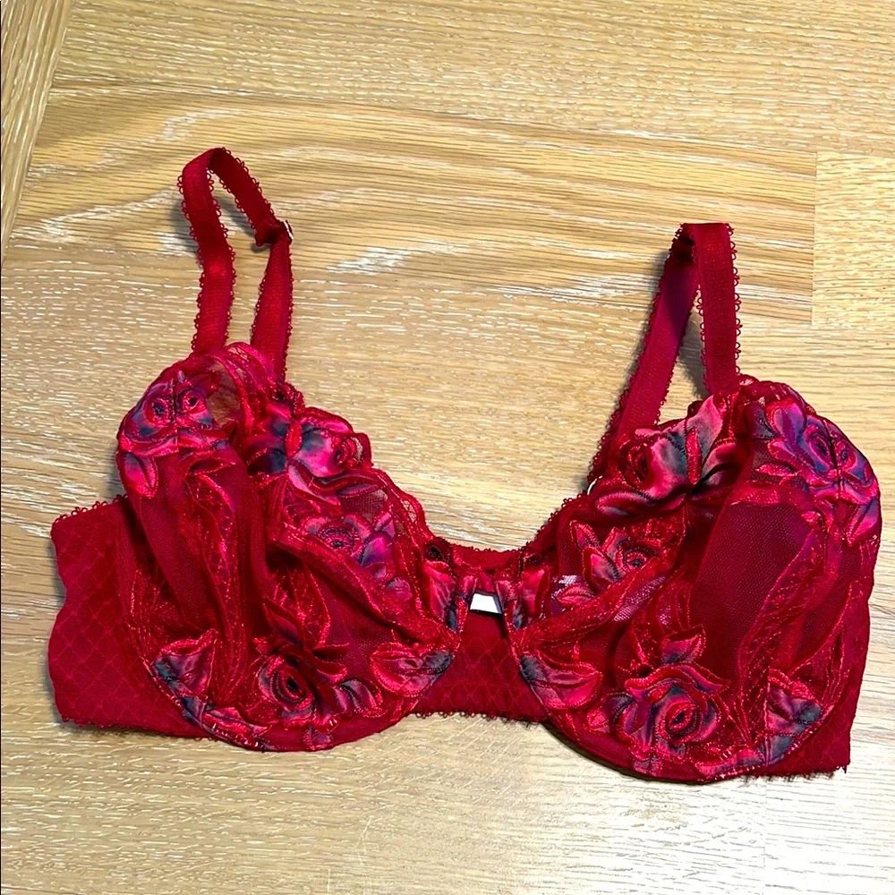 NWOT Victoria’s secret Embroidery low cut Elegant Red Floral Lace Bra size 34 D